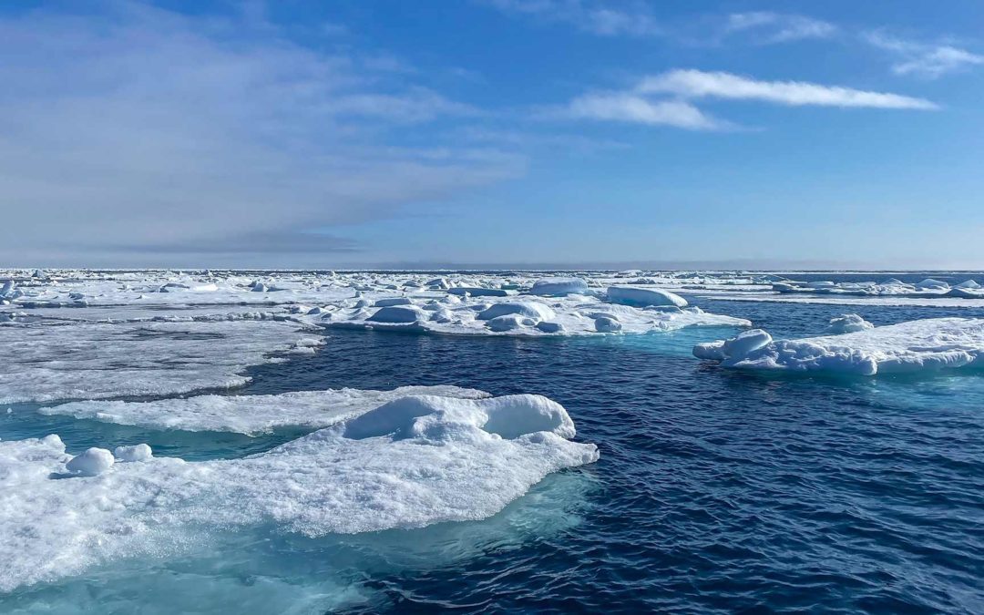 Expeditie Cruise naar Svalbard: Deel 12 – 80° Noord en de ice edge: het noordelijkste punt van onze reis